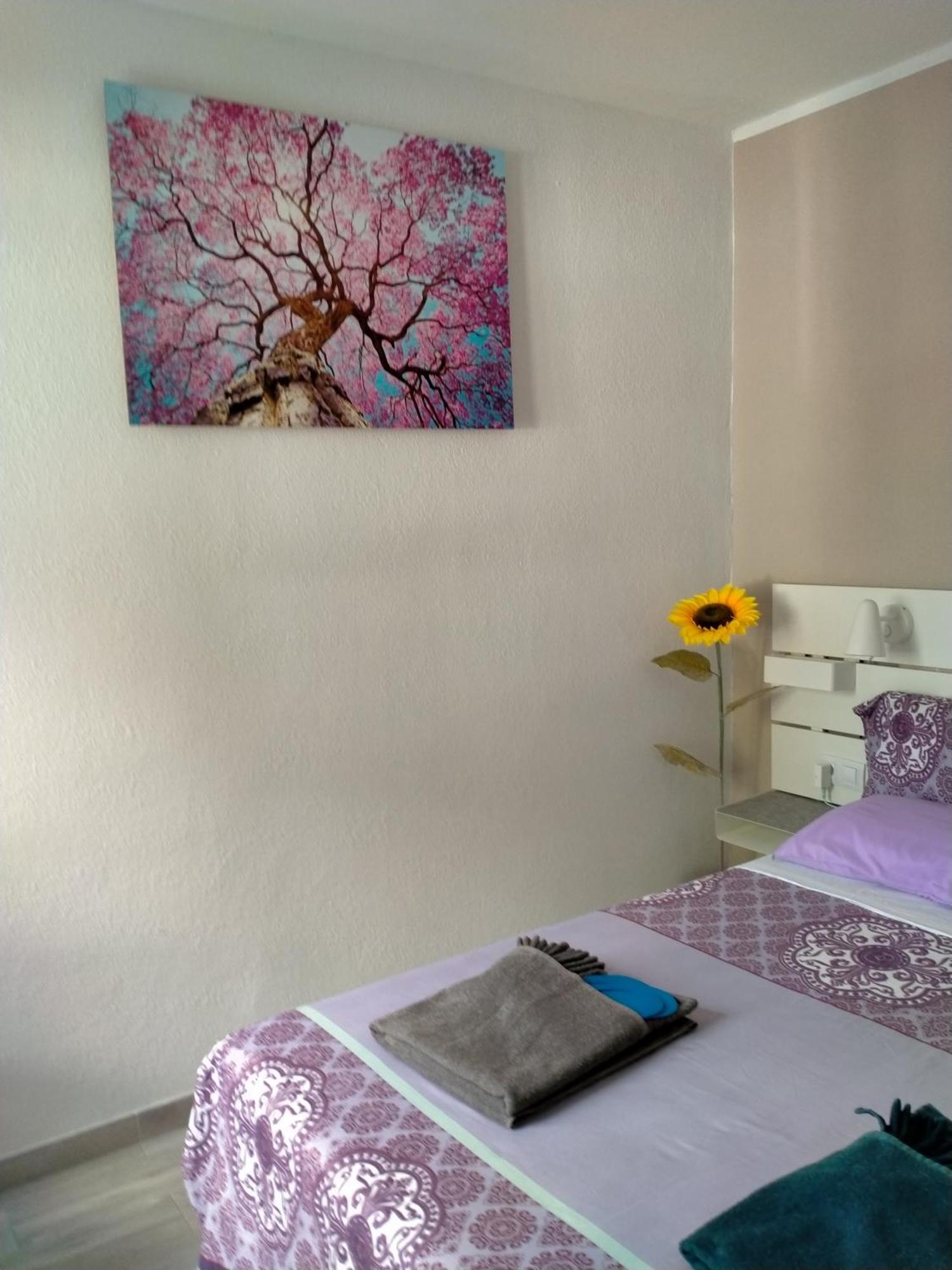 דירות קוסטה קלמה La Casa De Marcoq מראה חיצוני תמונה